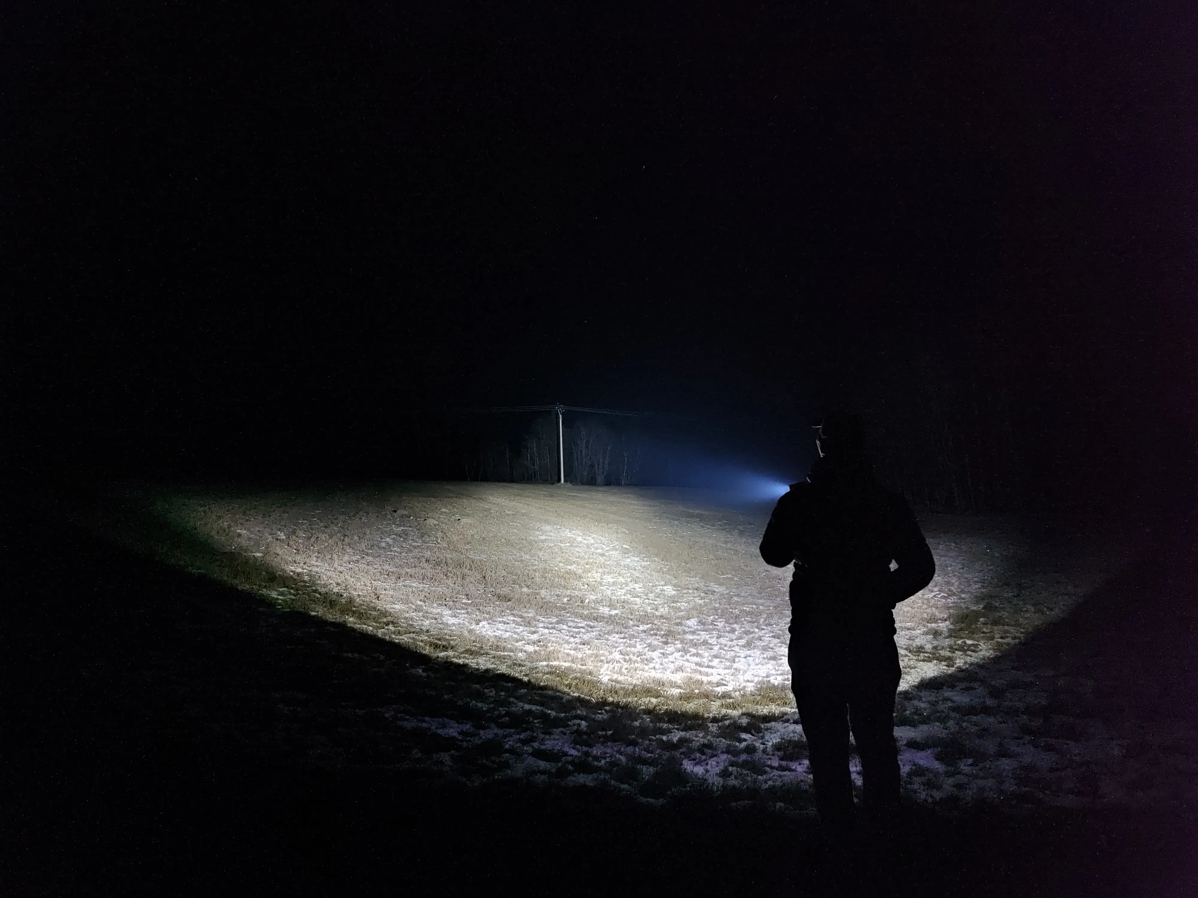 Grassland beam shot|666x500