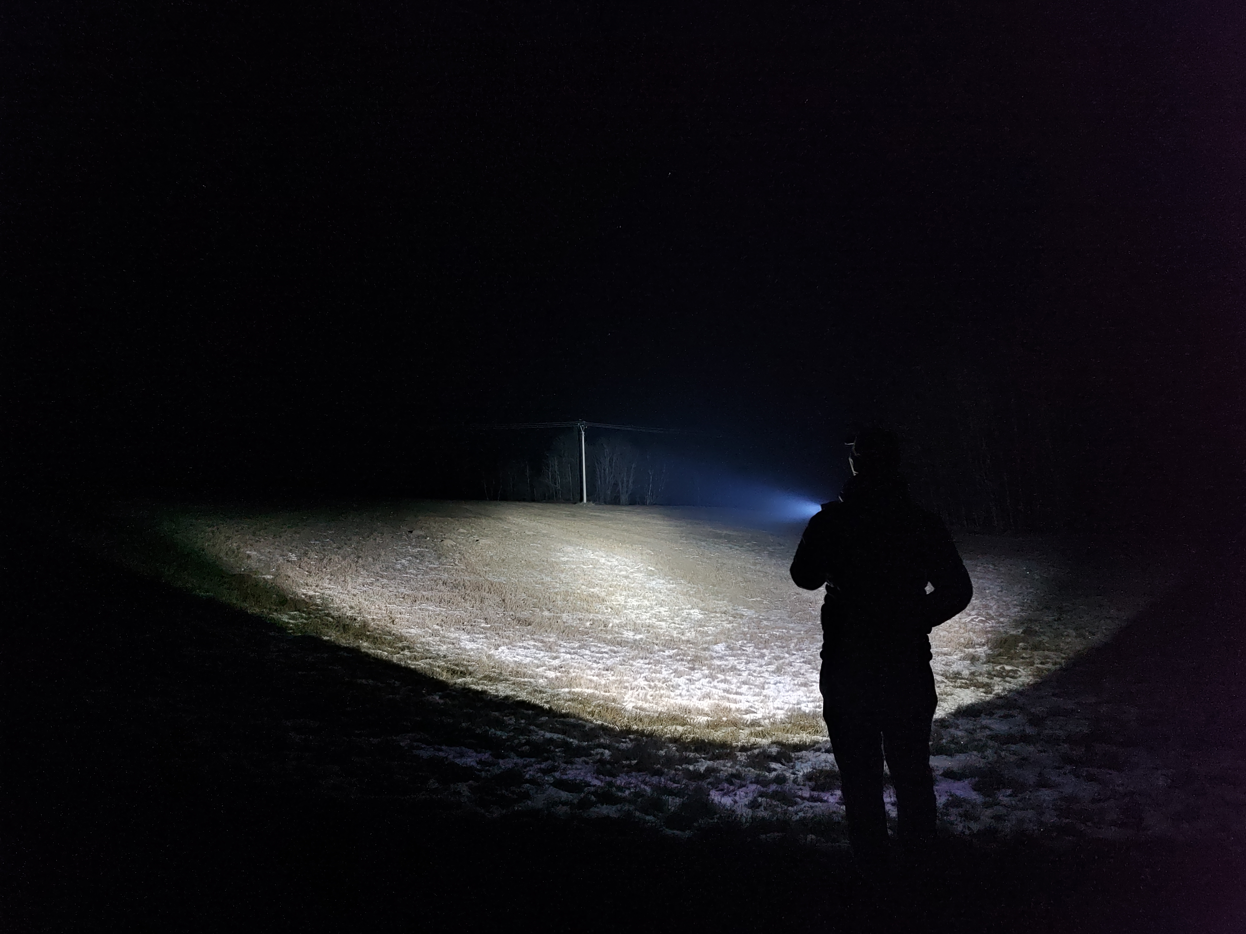 Grassland beam shot|666x500